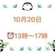 ヒメ日記 2025/10/15 13:37 投稿 柏木 歌音（かしわぎ かのん） 湯房すずめ