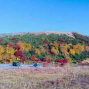 ヒメ日記 2025/10/17 13:46 投稿 柏木 歌音（かしわぎ かのん） 湯房すずめ