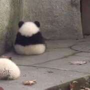 ヒメ日記 2025/10/19 21:34 投稿 柏木 歌音（かしわぎ かのん） 湯房すずめ