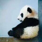 ヒメ日記 2025/11/01 16:19 投稿 柏木 歌音（かしわぎ かのん） 湯房すずめ