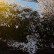 ヒメ日記 2025/12/04 15:15 投稿 柏木 歌音（かしわぎ かのん） 湯房すずめ