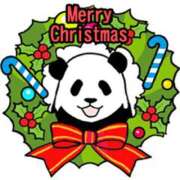 ヒメ日記 2025/12/25 09:47 投稿 柏木 歌音（かしわぎ かのん） 湯房すずめ