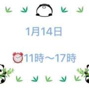 ヒメ日記 2026/01/08 17:37 投稿 柏木 歌音（かしわぎ かのん） 湯房すずめ