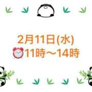 ヒメ日記 2026/02/09 20:57 投稿 柏木 歌音（かしわぎ かのん） 湯房すずめ