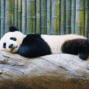 ヒメ日記 2026/02/14 23:50 投稿 柏木 歌音（かしわぎ かのん） 湯房すずめ