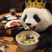 ヒメ日記 2026/03/08 18:19 投稿 柏木 歌音（かしわぎ かのん） 湯房すずめ