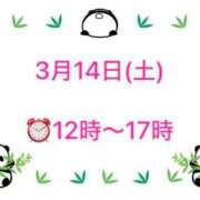 柏木 歌音（かしわぎ かのん） 『お久しぶりの行かせて候♨️』 湯房すずめ