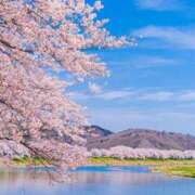 柏木 歌音（かしわぎ かのん） 『思い😌』 湯房すずめ