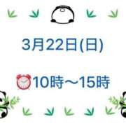 ヒメ日記 2026/03/14 19:59 投稿 柏木 歌音（かしわぎ かのん） 湯房すずめ