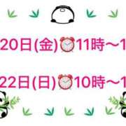 ヒメ日記 2026/03/16 18:00 投稿 柏木 歌音（かしわぎ かのん） 湯房すずめ