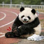 ヒメ日記 2026/03/16 22:06 投稿 柏木 歌音（かしわぎ かのん） 湯房すずめ