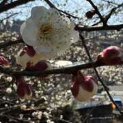 ヒメ日記 2026/03/30 22:09 投稿 柏木 歌音（かしわぎ かのん） 湯房すずめ