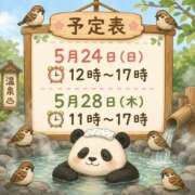 ヒメ日記 2026/05/20 17:49 投稿 柏木 歌音（かしわぎ かのん） 湯房すずめ