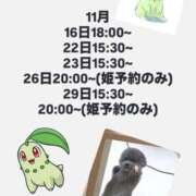 ヒメ日記 2025/11/10 17:32 投稿 つばさ 女帝