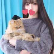 ヒメ日記 2026/03/19 09:12 投稿 つばさ 女帝