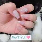 ヒメ日記 2024/12/19 18:11 投稿 りさ 一宮稲沢小牧ちゃんこ