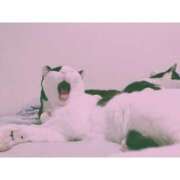 ヒメ日記 2024/12/27 08:24 投稿 りさ 一宮稲沢小牧ちゃんこ