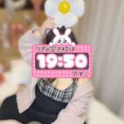 ヒメ日記 2025/04/20 18:20 投稿 りさ 一宮稲沢小牧ちゃんこ