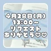 ヒメ日記 2025/04/26 02:34 投稿 りさ 一宮稲沢小牧ちゃんこ