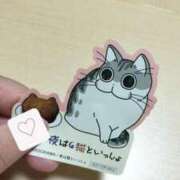 ヒメ日記 2025/04/28 13:24 投稿 りさ 一宮稲沢小牧ちゃんこ