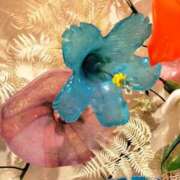 ヒメ日記 2025/07/04 15:14 投稿 りさ 一宮稲沢小牧ちゃんこ