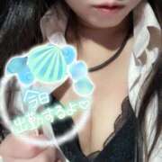 ヒメ日記 2025/02/15 15:10 投稿 はるか☆ 豊橋豊川ちゃんこ