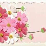 ヒメ日記 2025/04/03 09:00 投稿 葉月 待ちナビ