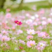 葉月 今日、出勤です♪ 待ちナビ