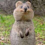 ヒメ日記 2025/10/06 13:35 投稿 あきら ローズ～ミドルエイジ～