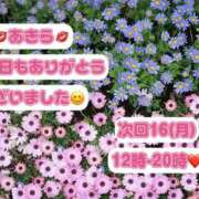 ヒメ日記 2026/03/08 15:57 投稿 あきら ローズ～ミドルエイジ～