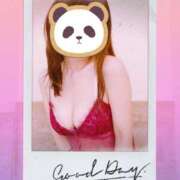 ヒメ日記 2026/01/30 09:25 投稿 ここみ 横浜熟女MAX