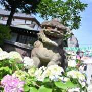 ヒメ日記 2025/06/11 18:59 投稿 あやね X-PARTY