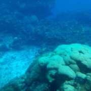 ヒメ日記 2024/12/11 13:51 投稿 まなみ 加古川10,000円ポッキー