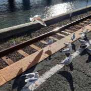 ヒメ日記 2025/11/10 20:27 投稿 まなみ 加古川10,000円ポッキー