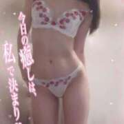 ヒメ日記 2025/02/22 13:08 投稿 モモ OPELA（オペラ）