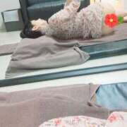 ヒメ日記 2025/11/01 11:22 投稿 由井ななえ ワイフコレクション