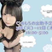 おもち みてみて〜🎶ニャ NEW GENERATION