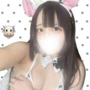 ヒメ日記 2026/03/12 19:12 投稿 おもち NEW GENERATION