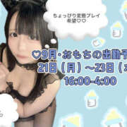 ヒメ日記 2026/09/21 14:10 投稿 おもち NEW GENERATION