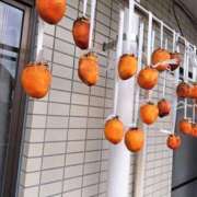 由井ななえ ※無題 色気あるワイフ