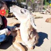 由井ななえ ※無題 色気あるワイフ