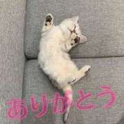 ヒメ日記 2026/08/14 06:09 投稿 石原かな 淫乱素人Ｍ性感倶楽部