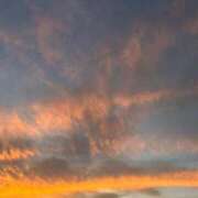 ヒメ日記 2025/11/09 23:14 投稿 さくら 高級アロマエステ＆性感 Felice-フェリーチェ-