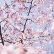 しほ（極上SPコース対応） 帰還🌸(長め) EIGHT（エイト）～8つのお約束と無限の可能性～