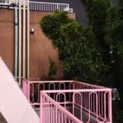 ヒメ日記 2025/04/30 17:56 投稿 都 熟女の風俗最終章　鶯谷店