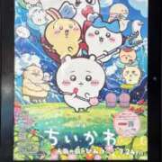 ヒメ日記 2026/08/06 06:00 投稿 あいみ 深海魚