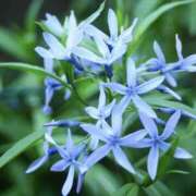 ヒメ日記 2025/05/14 19:44 投稿 いろは コレクション