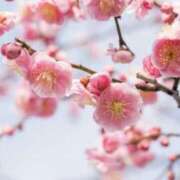 いろは １月と２月のお礼♡ ストロベリーハウス