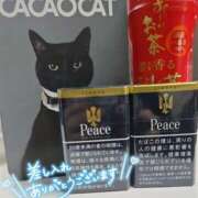 ヒメ日記 2025/02/18 17:16 投稿 雪平やよい 五反田ウルトラファンタジー