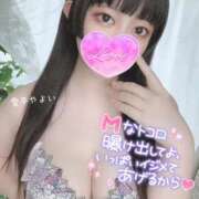 ヒメ日記 2025/05/24 10:46 投稿 雪平やよい 五反田ウルトラファンタジー